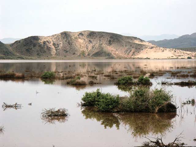 [East Cronese Lake, Soda Mountains]