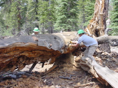 DSC00036.JPG