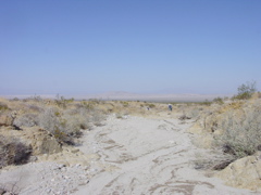 DSC00021.JPG