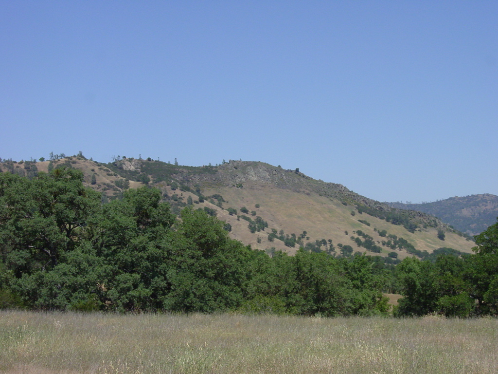 DSC00098.JPG