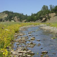 [Red Creek in the Orestimba]