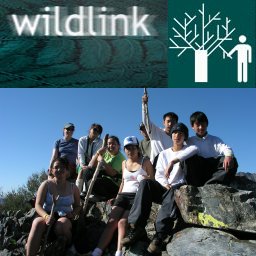 [WildLink Program]