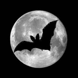 [Bat over moon]