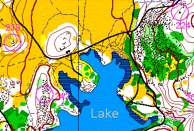 [Orienteering map.]